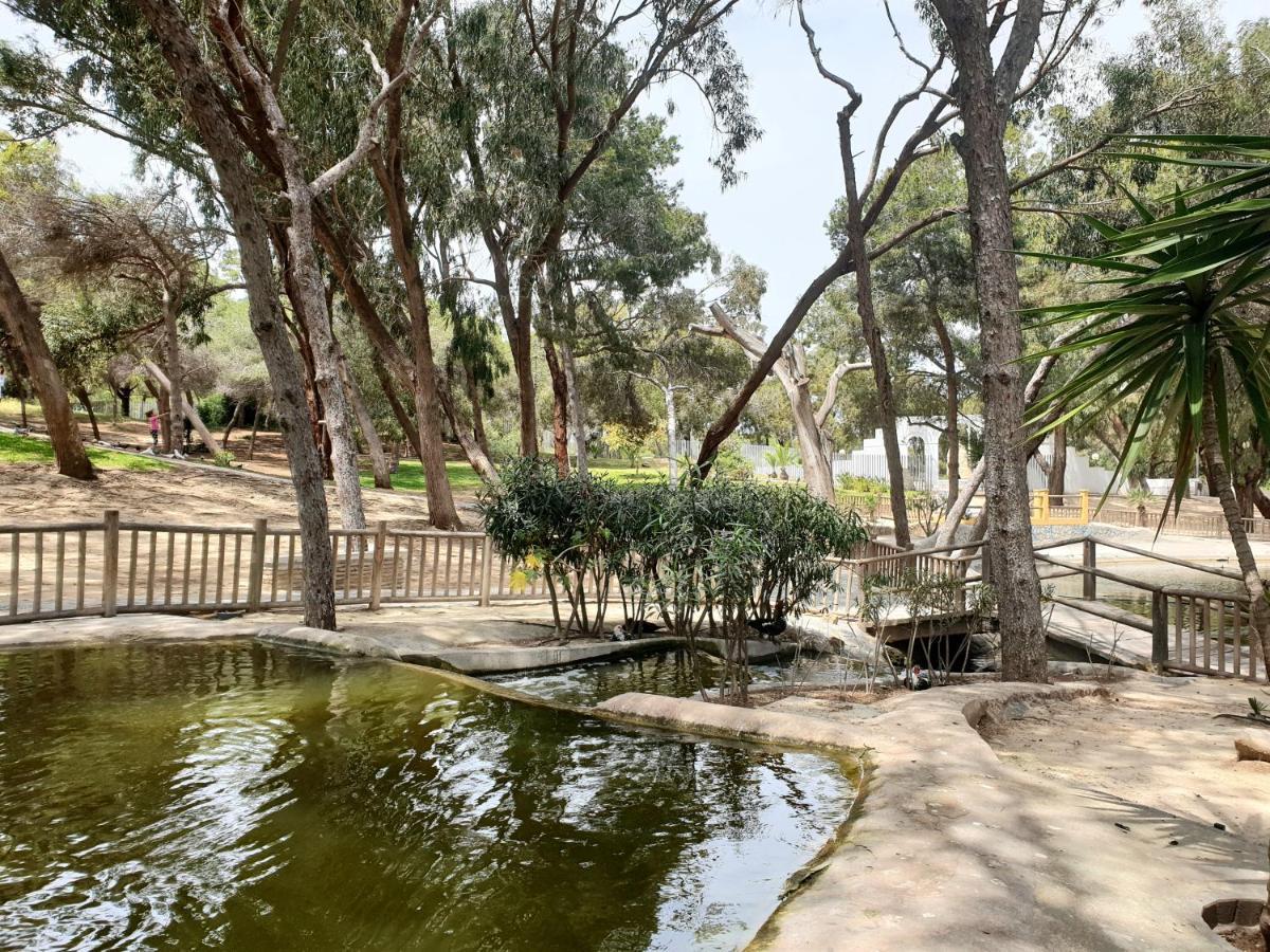Apartamento Parque Sur Guardamar del Segura Eksteriør bilde